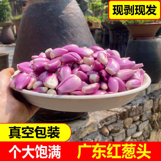 翁源县广东新鲜去皮红葱头手工剥皮红葱头真空包装餐饮店专用香料熬葱油