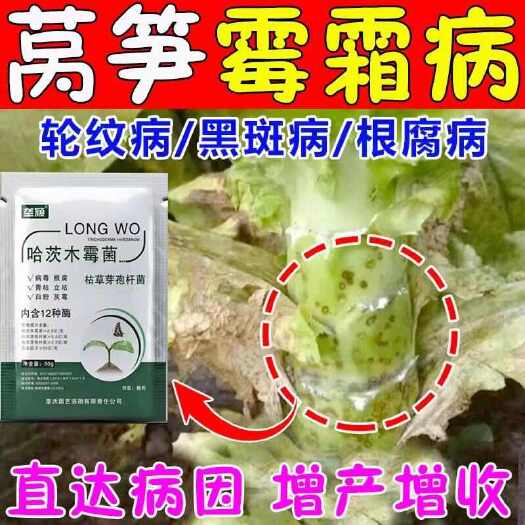 栾川县莴笋专用药哈茨木霉菌莴笋病全治软腐病霜霉病灰霉病菌核病褐斑病