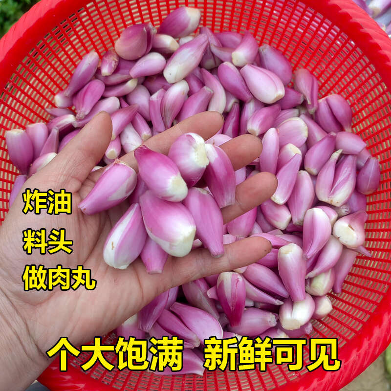 广东新鲜去皮红葱头手工剥皮红葱头真空包装餐饮店专用香料熬葱油