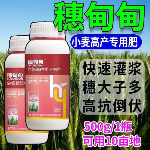 栾川县含氨基酸水溶肥料增产增收肥籽粒饱满壮苗抗病抗倒促分蘖灌浆