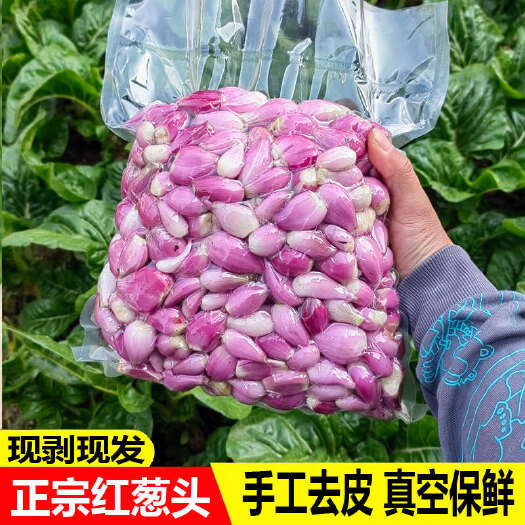 长沙广东红葱头去皮新鲜剥皮葱头真空包装纯手工剥皮去皮餐饮店专用