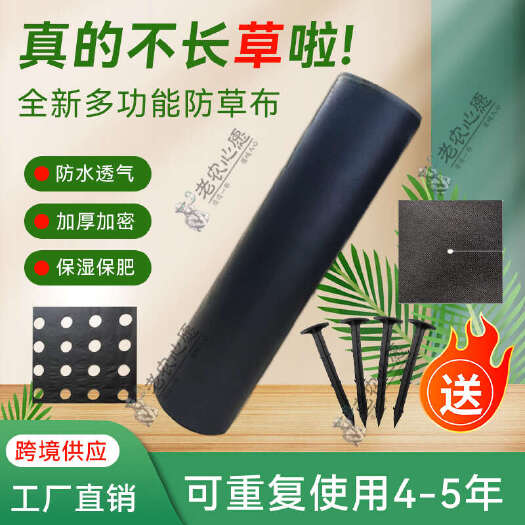 东莞市火龙果防草布除草布厂家直供果树遮草布透气保湿地布农用种植