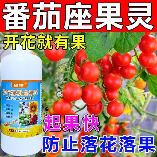 栾川县西红柿授粉座果灵番茄黄瓜膨大增产长势好防落果专用肥料