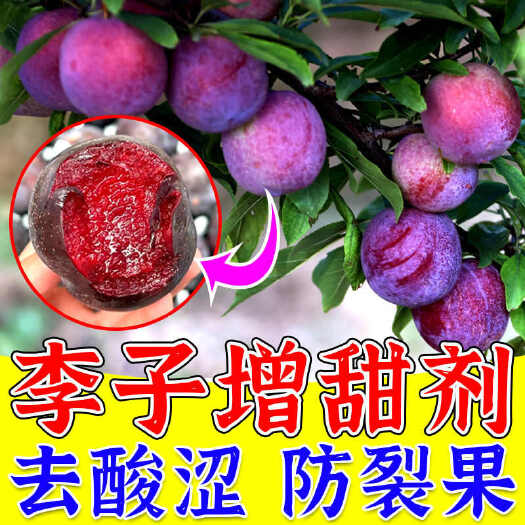 栾川县三华李子膨大素李子膨大素膨果防裂增甜着色李子树膨大剂叶面肥