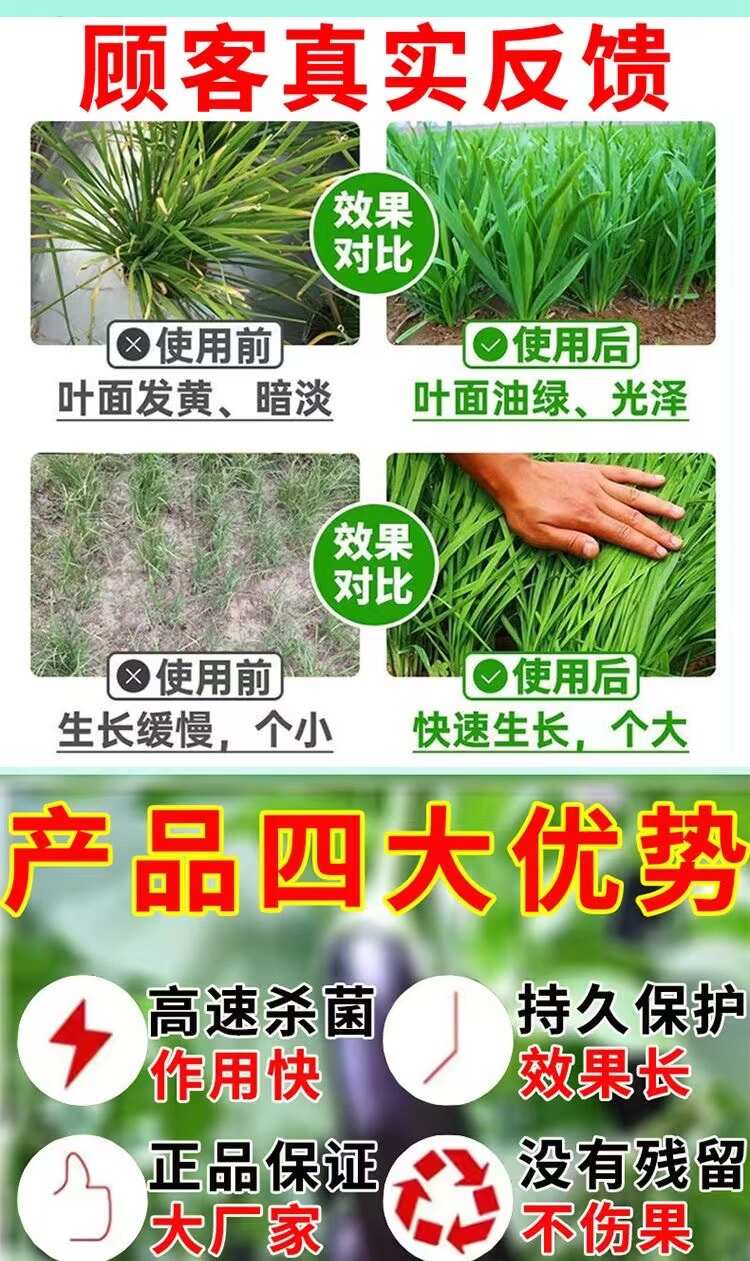 韭菜病专用韭菜白粉病灰霉病锈病疫病干尖黄叶叶面肥枯萎病水溶肥