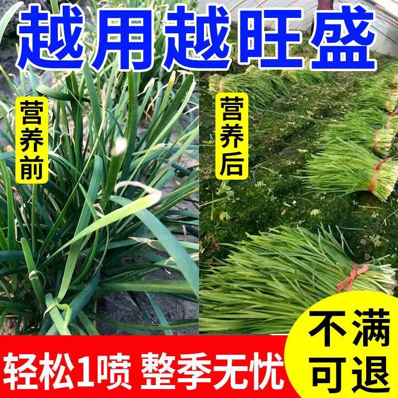 韭菜病专用韭菜白粉病灰霉病锈病疫病干尖黄叶叶面肥枯萎病水溶肥