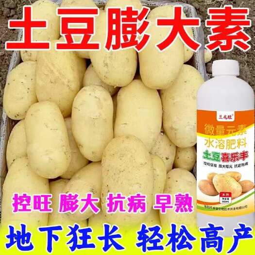 长沙土豆高产增产叶面肥土豆膨大裂土增收控旺抗病马铃薯土豆膨大肥料