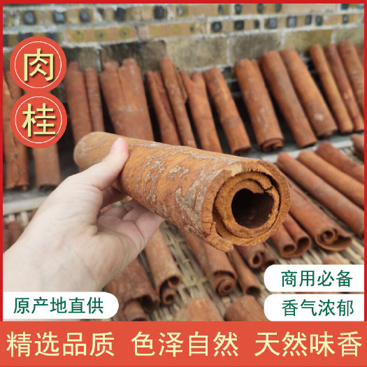 容县广西特级50年老树肉桂大中通足干桂皮干货卤肉卤料调料大全八角
