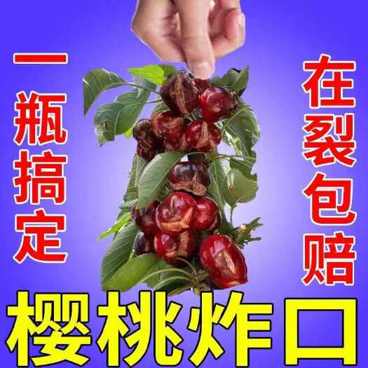 栾川县樱桃防裂果专用防裂剂防裂果药提质增甜增产瓜果防裂素瓜果不再裂