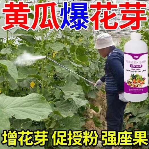 栾川县花芽分化素催花保果控梢控旺药黄瓜专用花芽素促进细胞分裂叶面肥
