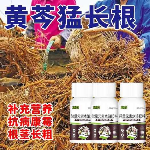 栾川县黄芩地净膨大素中药材膨大素壮苗快速生根地下养根壮根灵生根剂