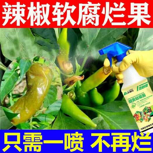 栾川县辣椒黄叶病药叶子发黄叶斑落叶花叶病毒病病全治不烂果专用水溶肥