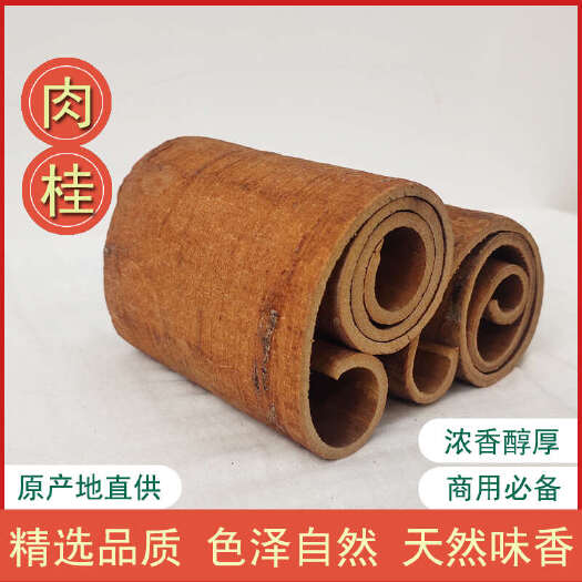 容县广西深山15年桂皮肉桂香桂山桂卤水料调味香料批发