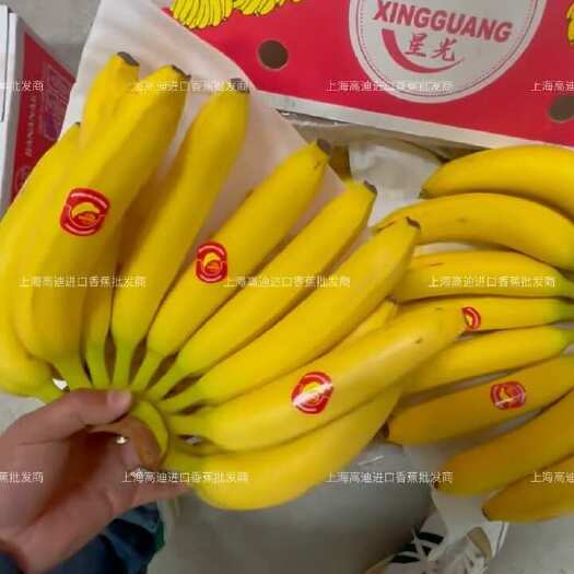 上海主要经营：精品菲律宾二级蕉，净重27斤，保质保量，大量现货。