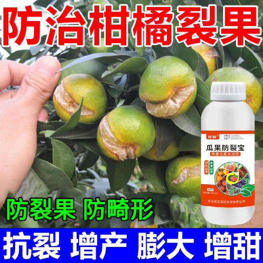 栾川县柑橘裂果专用防裂剂裂果落果防畸形防裂果着色增甜防裂剂叶面肥