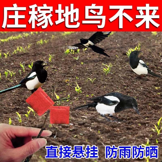 【鸟闻立跑】强效驱鸟包复合原料香精包农用果园赶鸟驱鸟悬挂包
