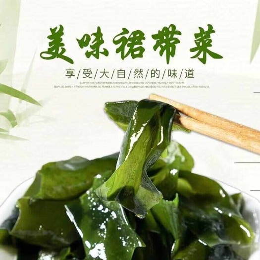 霞浦县厂家精选无沙免洗新鲜纯干裙带菜每包50g严选鲜嫩