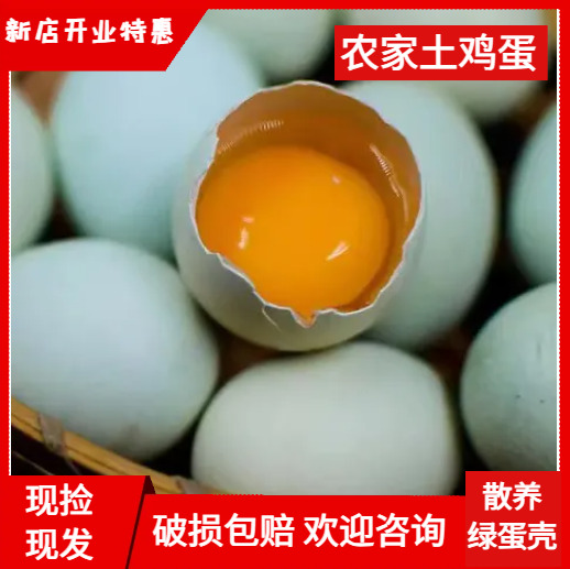 【现捡现发】绿壳蛋100枚绿壳乌鸡蛋  源场直供 质优价廉