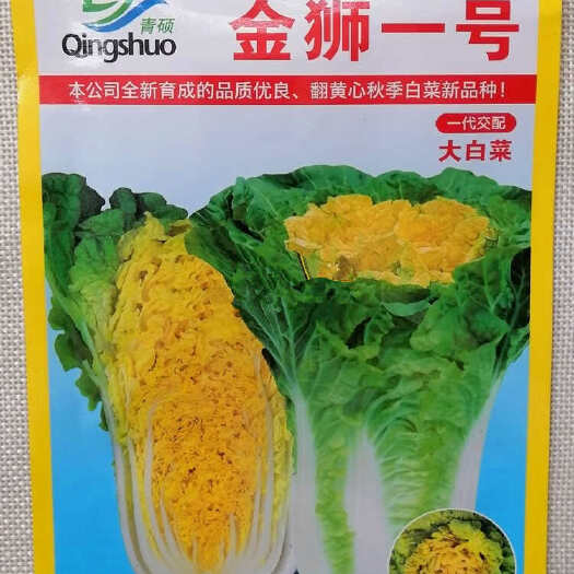 漯河金狮一号黄心大白菜种子，叶球直筒型，内心鲜黄，抗病，基地种植