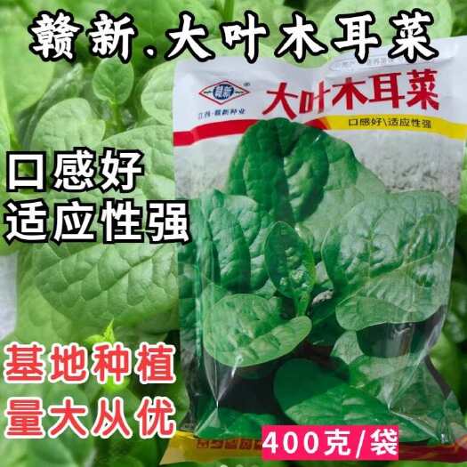 大叶木耳菜种子，茎叶肥嫩，柔软多汁，耐热抗病，基地种植