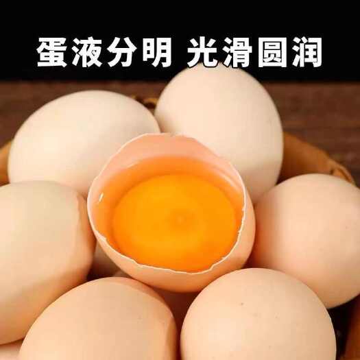 【新店活动】新鲜土鸡蛋农村林下散养五谷杂粮喂养虫草鸡红心蛋