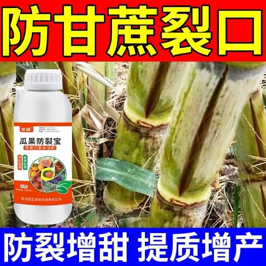 甘蔗防裂剂叶面肥美果靓果防裂果补钙强韧果皮防畸形甘蔗增产肥料