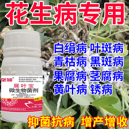 栾川县花生死苗烂根锈病枯萎叶斑病黑斑病白绢病根腐病专用微生物菌剂