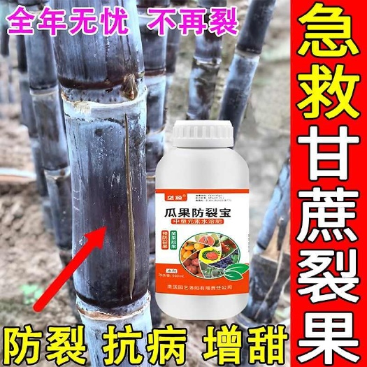 栾川县【防裂增甜】甘蔗专用防裂剂降氮补钙强韧果皮防裂增甜增产水溶肥