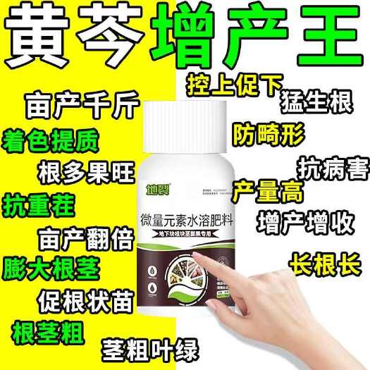 栾川县黄芩地净膨大素中药材膨大素快速生根壮苗剂地下养根壮根提质增产