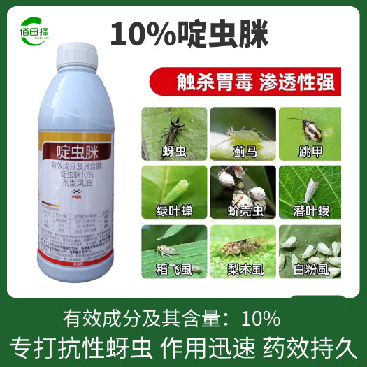 潍坊10%啶虫脒果树蔬菜蚜虫腻虫蓟马白粉虱杀虫剂花卉通用农药