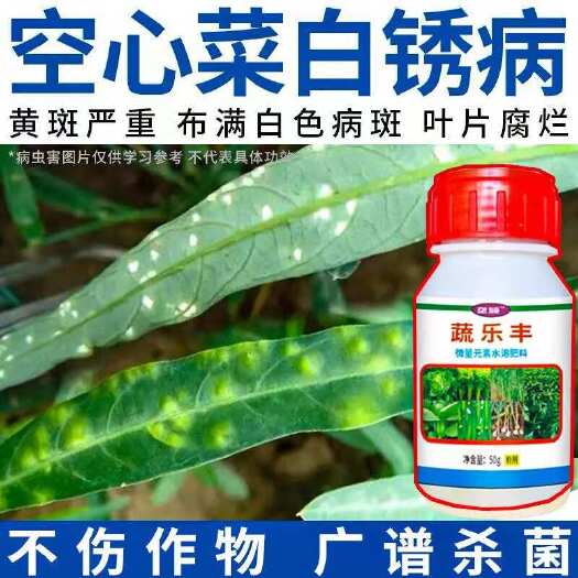 栾川县空心菜专用肥白锈病炭疽病根腐病猝倒病黄叶病叶绿增产叶面肥