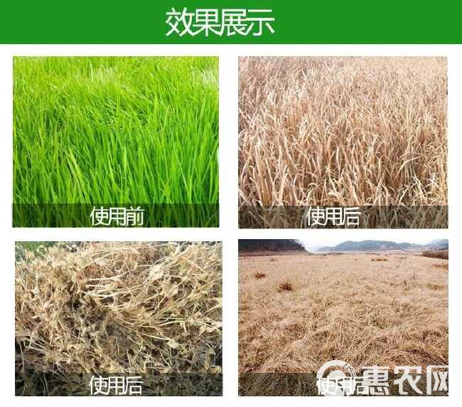 厂家批发 国标认证灭根41%高浓度草甘磷铵盐除草剂烂根一扫光