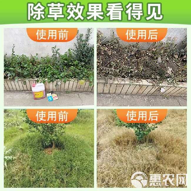 厂家批发 国标认证灭根41%高浓度草甘磷铵盐除草剂烂根一扫光