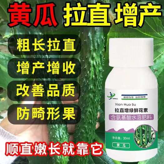 栾川县黄瓜专用发黄瓜拉直拉长顺直增粗顶花灵增产叶面水溶肥料