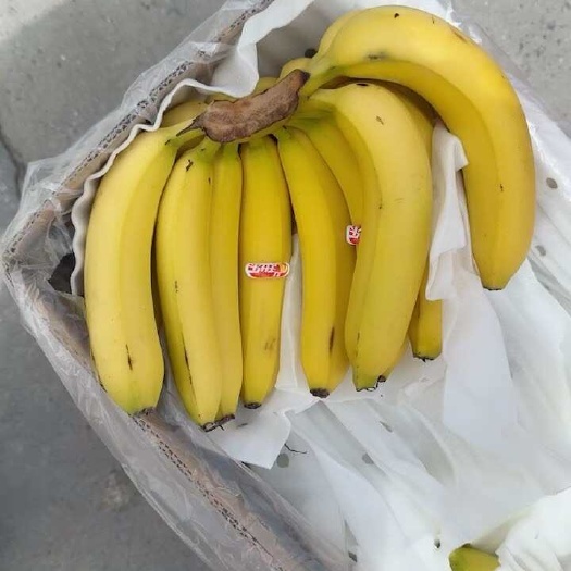 上海口感软糯香甜颜色金黄不受寒黄金蕉无花皮无黑心无硬心