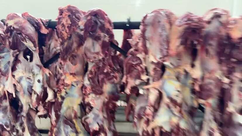 呼伦贝尔草饲分割全牛，纯干无水，可按要求分割。