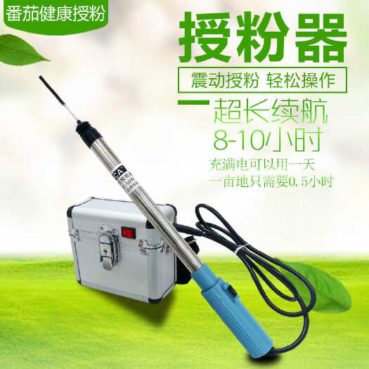 寿光市番茄西红柿电动授粉器省suca震动授粉器口感西红柿授粉