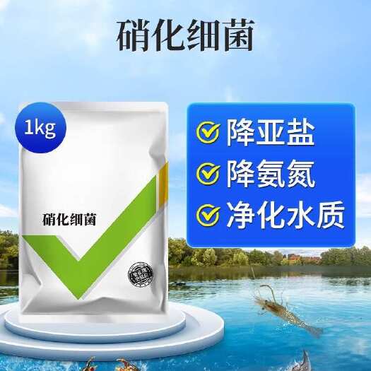 长沙硝化细菌水产养殖专用生物降氨氮亚硝酸盐调水净水反硝化细菌