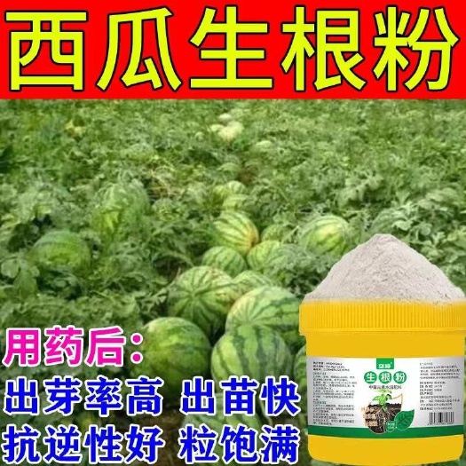 西瓜拌种西瓜种子专用催芽壮苗促生长防病防虫害增产生根粉