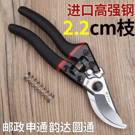果树剪刀强力修枝剪粗枝剪SK5高碳钢园艺剪刀枝条剪苹果树剪子