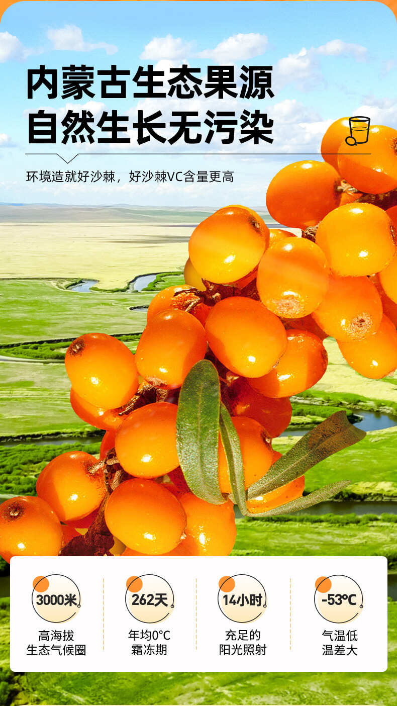 包邮～内蒙古小果沙棘原浆果汁袋装瓶装饮料饮品