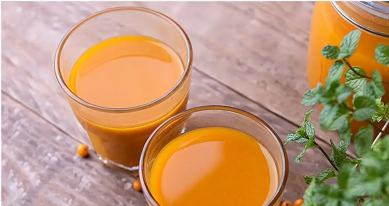 包邮~内蒙古小果沙棘原浆果汁袋装瓶装饮料饮品