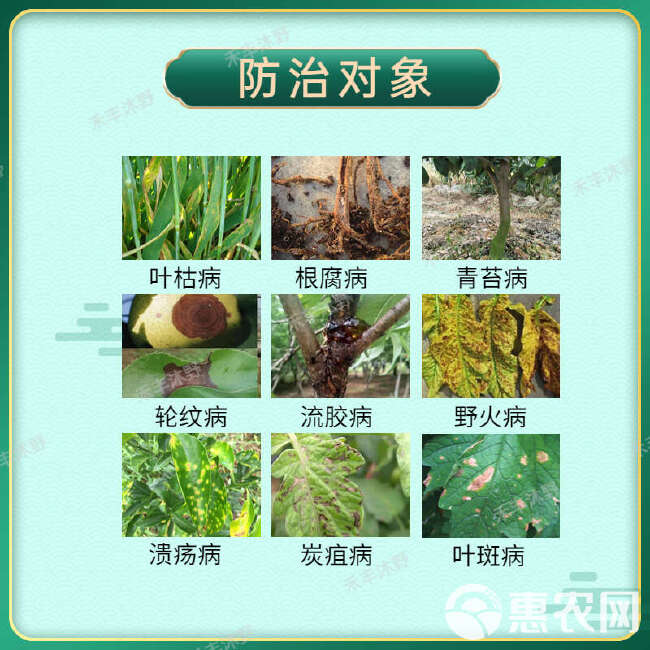 助剂大蒜油杀菌杀虫去除青苔防治真细菌病害红蜘蛛蚜虫飞虱果园