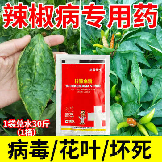 长沙辣椒卷叶烂尖烂根炭疽病专用病毒病花叶小叶叶面肥