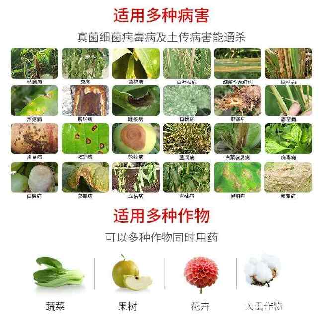 氯溴异氰尿酸50%农用果树蔬菜杀菌剂真菌细菌病毒病喷雾冲施