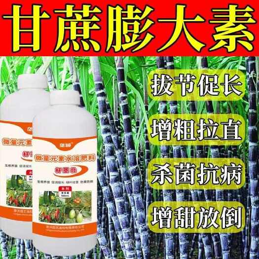 栾川县甘蔗拉长膨大素拉直膨大剂拔节增长增粗专用甘蔗粗长灵甘蔗叶面肥