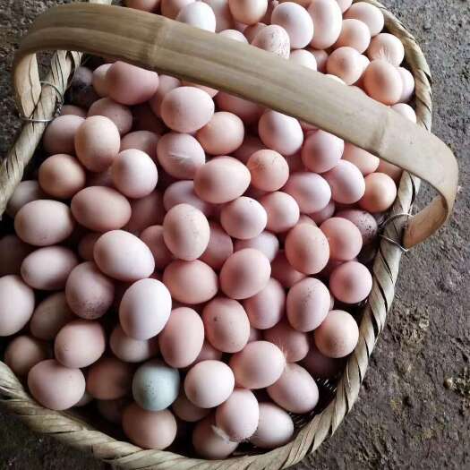 初生蛋小鸡蛋山里放养土鸡蛋小孩老人超爱吃
