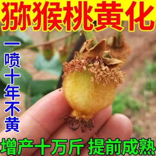 栾川县【猕猴桃】黄叶化病专用黄叶枯萎落果防病去菌退黄转绿叶面肥