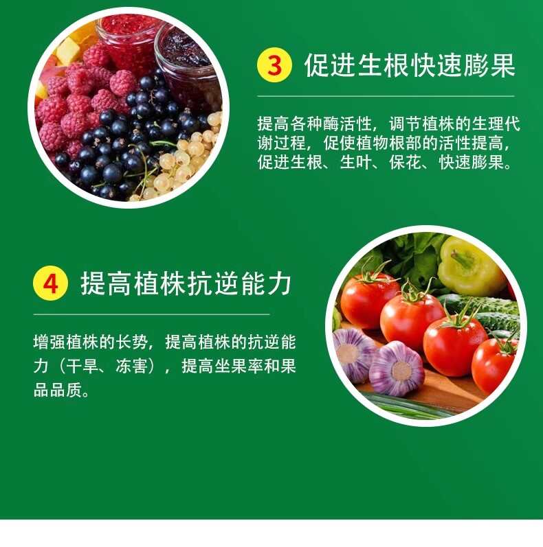 叶绿素控旺不徒长叶面肥快速吸收促花芽分化增花保果提质增产通用