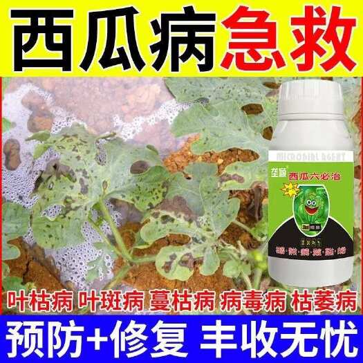 西瓜六必治叶面专用肥防死苗甜香瓜哈密瓜枯萎蔓枯病专用叶面肥